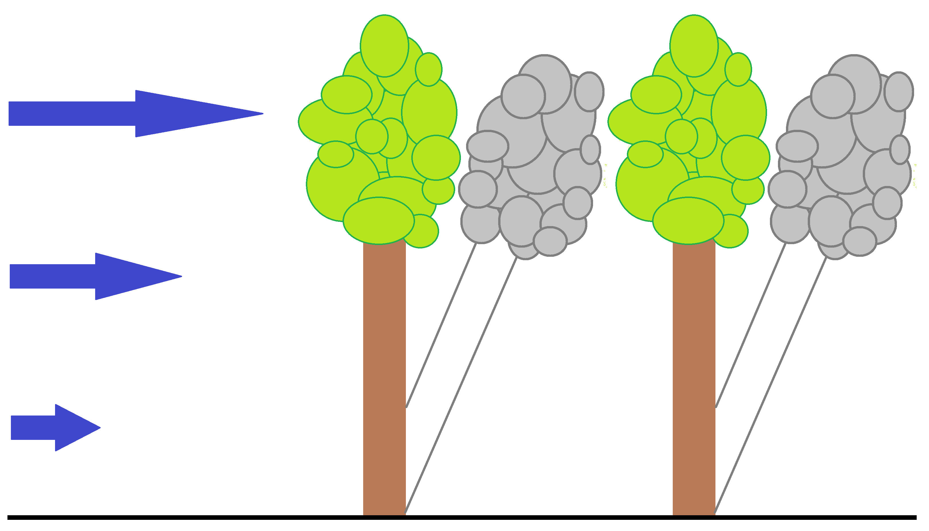 palm/trunk/TUTORIAL/SOURCE/canopy_model_figures/small.png