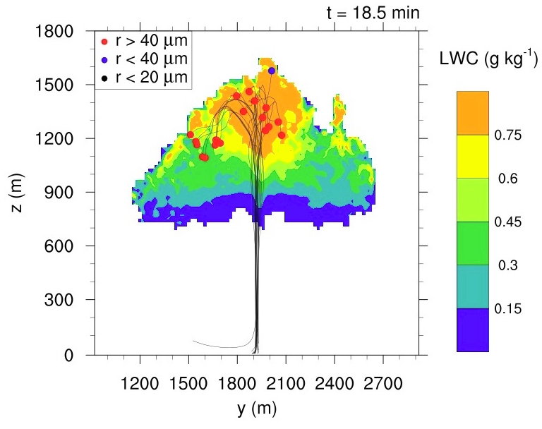 palm/trunk/TUTORIAL/SOURCE/particle_model_figures/traj.jpg