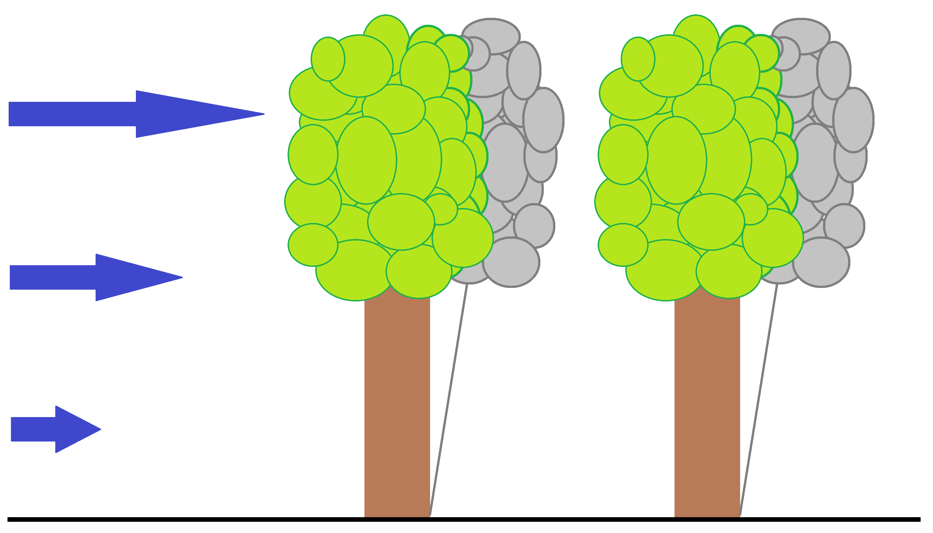 palm/trunk/TUTORIAL/SOURCE/canopy_model_figures/large.png