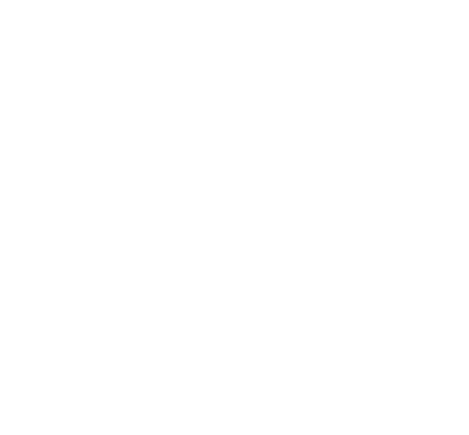palm/trunk/DOC/logo/palm_logo_white.png